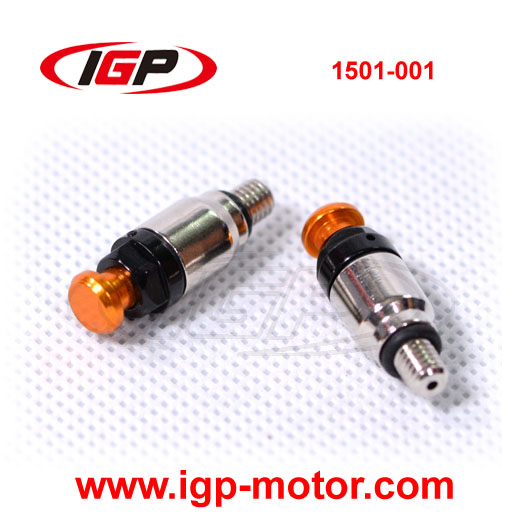 Dirt Bike Bleed screw M5 Fork Top Bleeder Chinese Supplier 1501-001